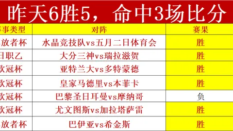 帕尔默英超首秀点球失手，中场休息急奔洗手间